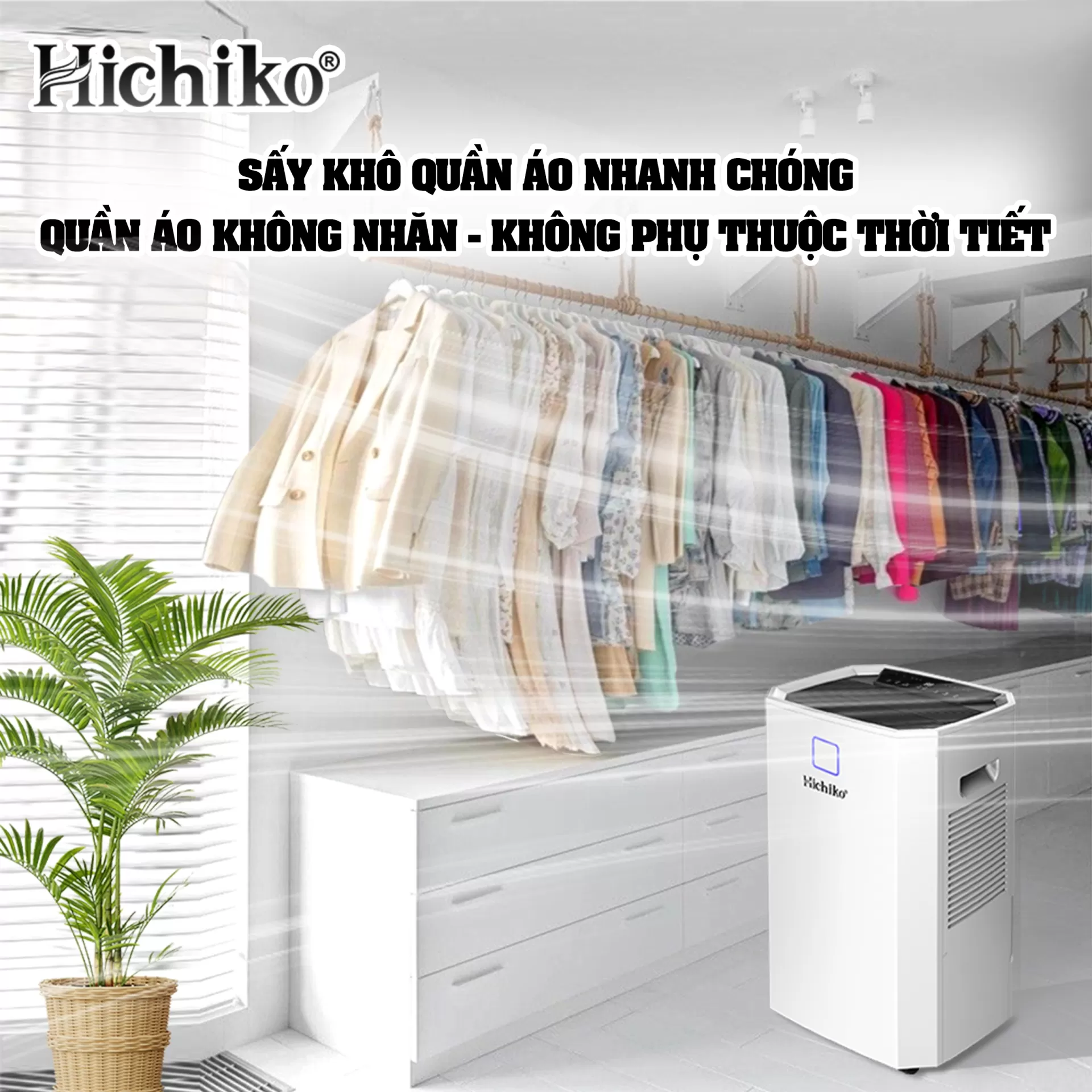 Máy hút ẩm Hichiko HC50-DH03 dành cho diện tích từ 70-100m2, công suất hút 50L/ngày