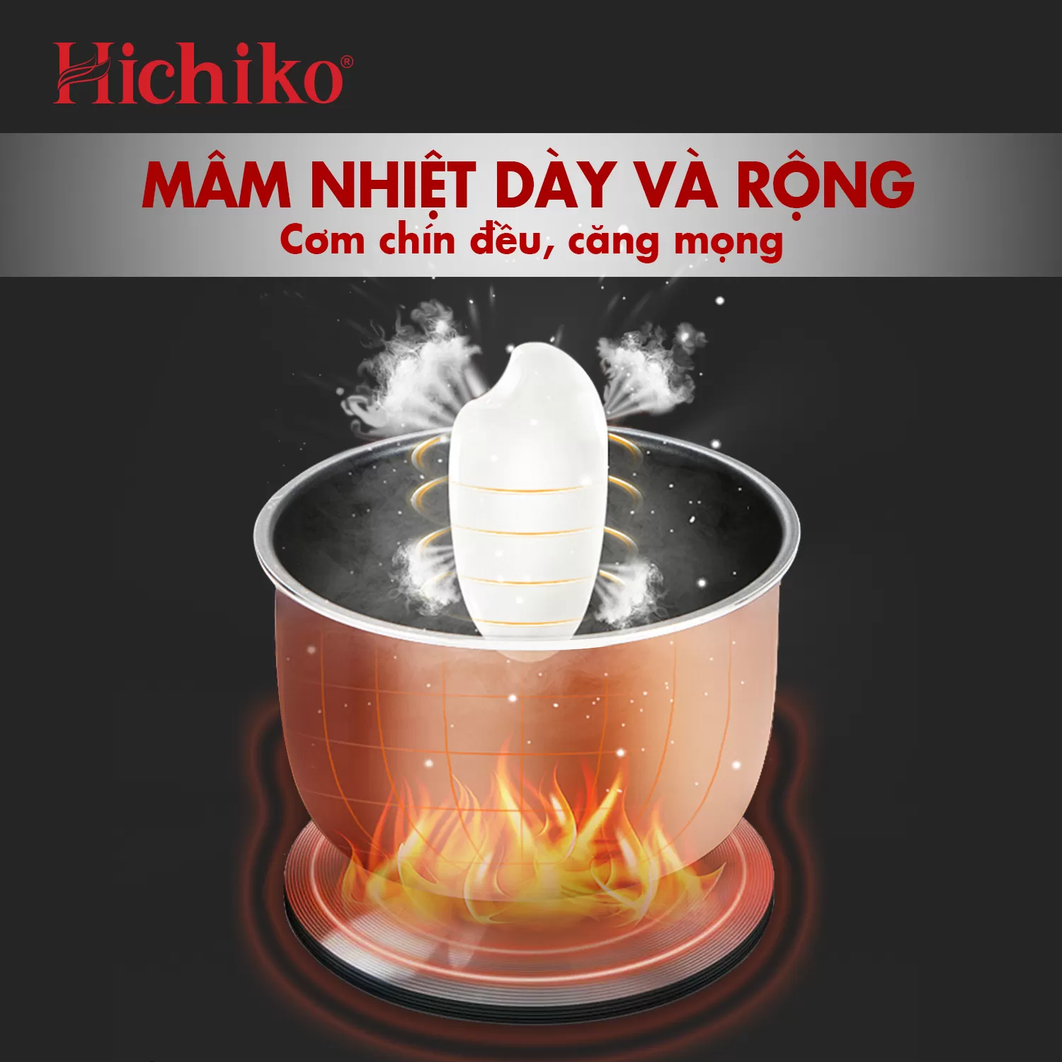 Nồi cơm điện Hichiko 3.2L HC32-07